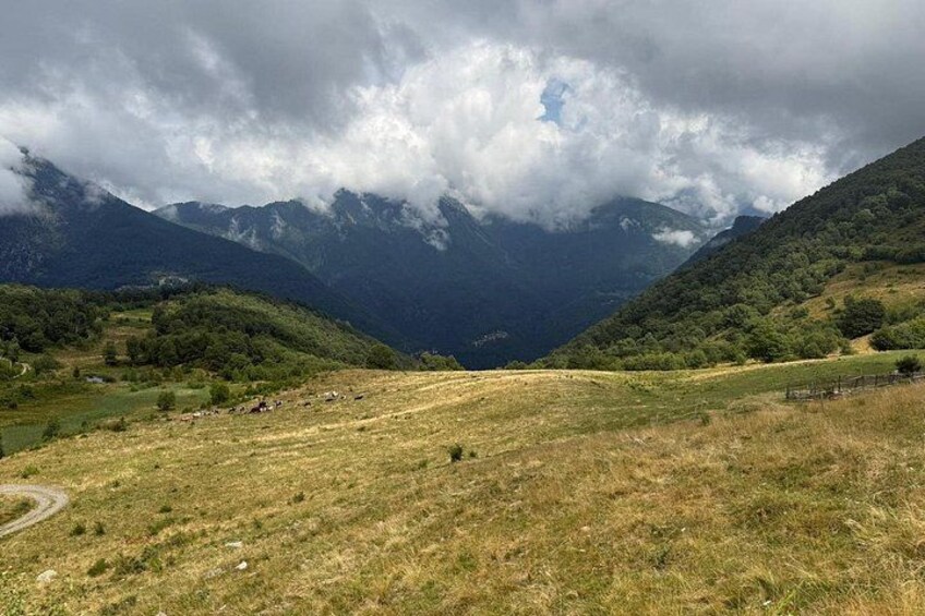 Exclusive Picnic in the Foothills of the Alps with the Lake Views 2