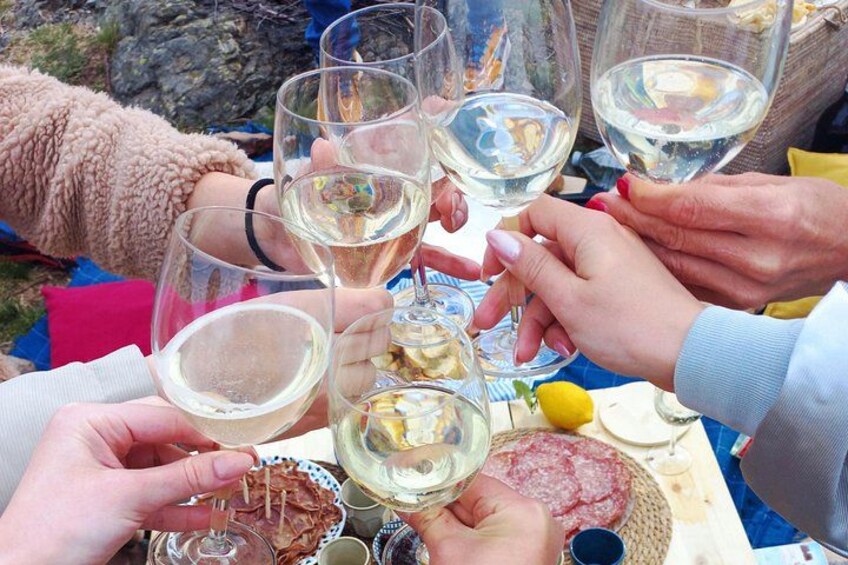 Exclusive Picnic in the Foothills of the Alps with the Lake Views 5