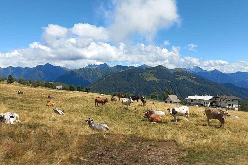 Exclusive Picnic in the Foothills of the Alps with the Lake Views 4