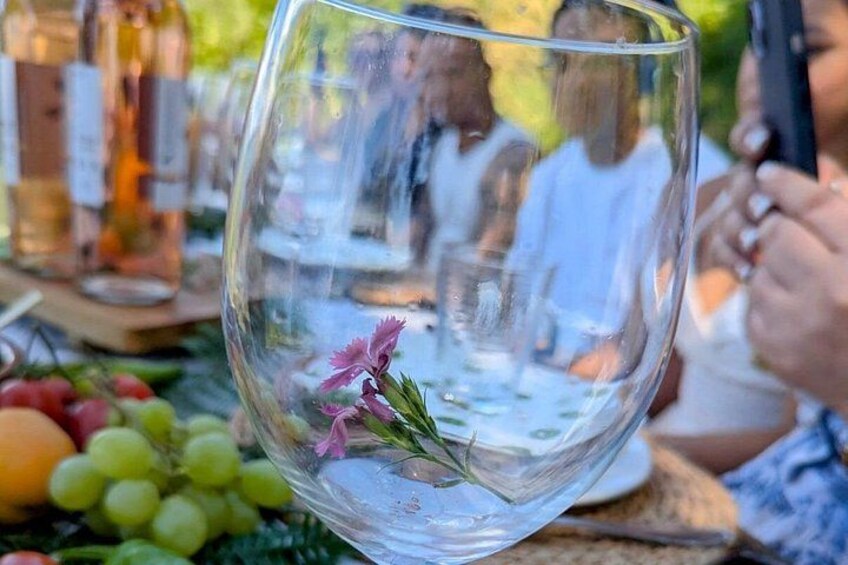 Exclusive Picnic in the Foothills of the Alps with the Lake Views 3