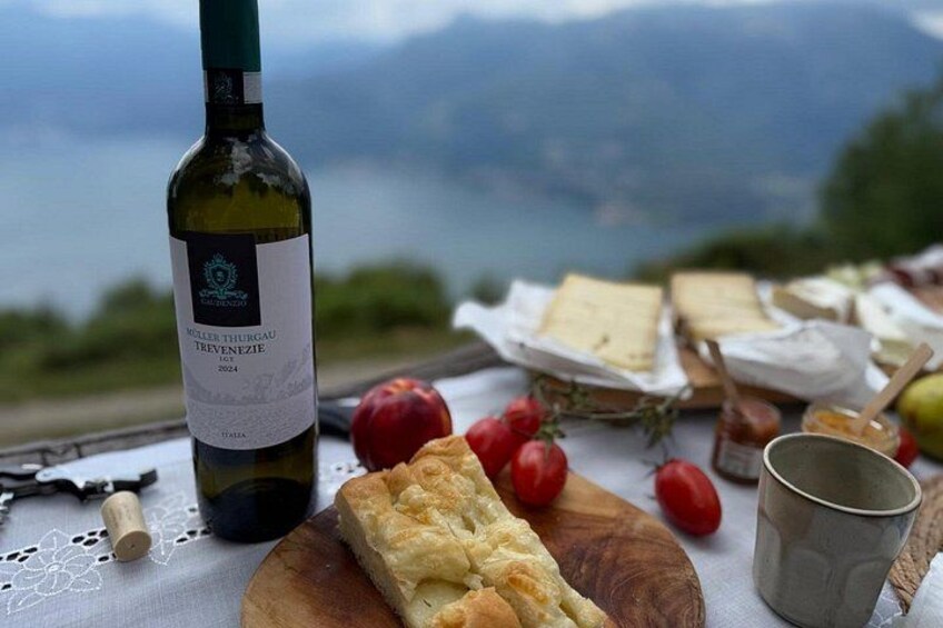 Exclusive Picnic in the Foothills of the Alps with the Lake Views 3