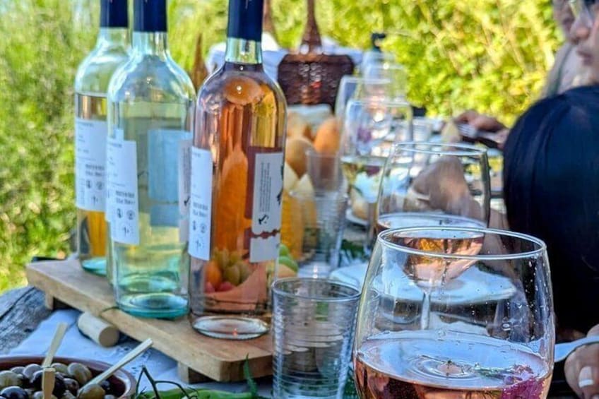 Exclusive Picnic in the Foothills of the Alps with the Lake Views 2