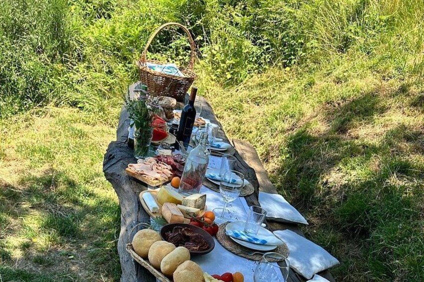 Exclusive Picnic in the Foothills of the Alps with the Lake Views 2
