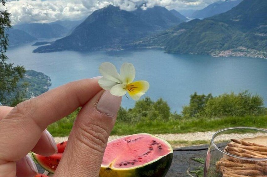 Exclusive Picnic in the Foothills of the Alps with the Lake Views 4