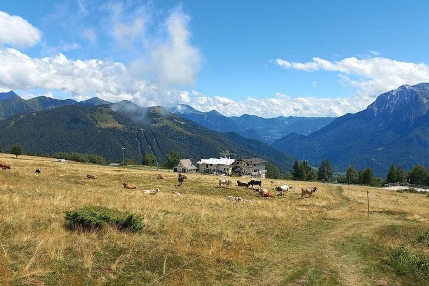 Exclusive Picnic in the Foothills of the Alps with the Lake Views 3