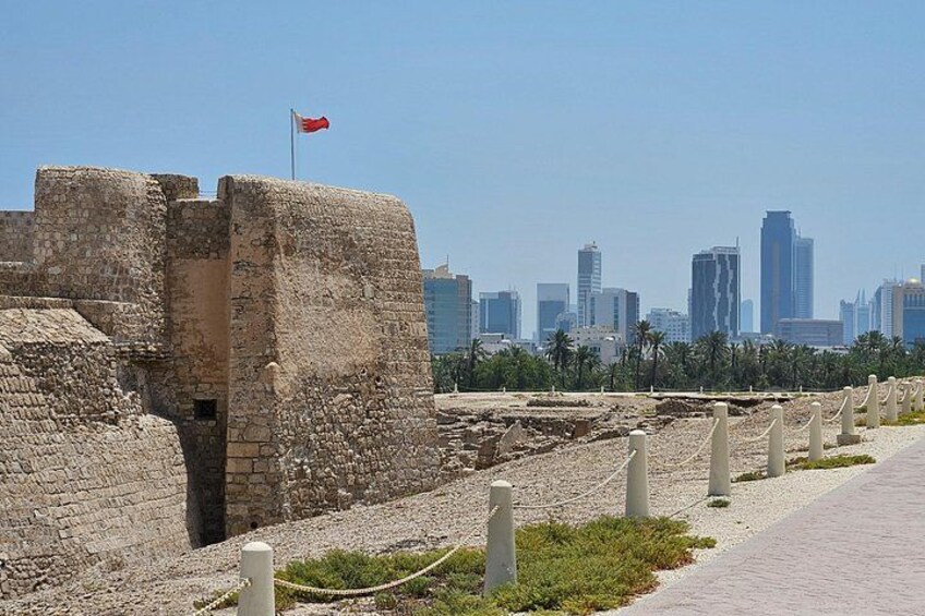 Bahrain City and Desert Tour 2