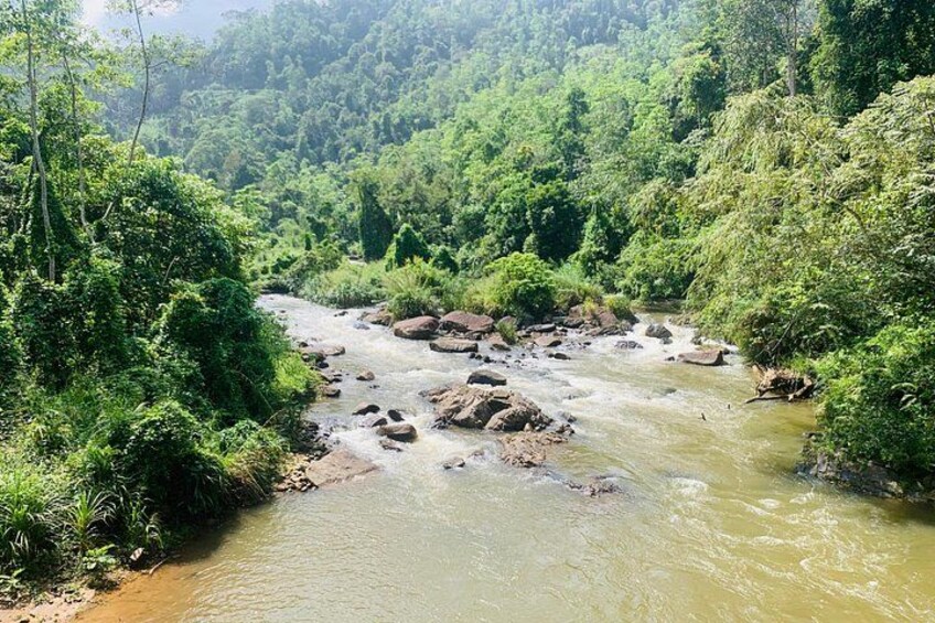 Sinharaja Rain Forest Guided Day Tour 5