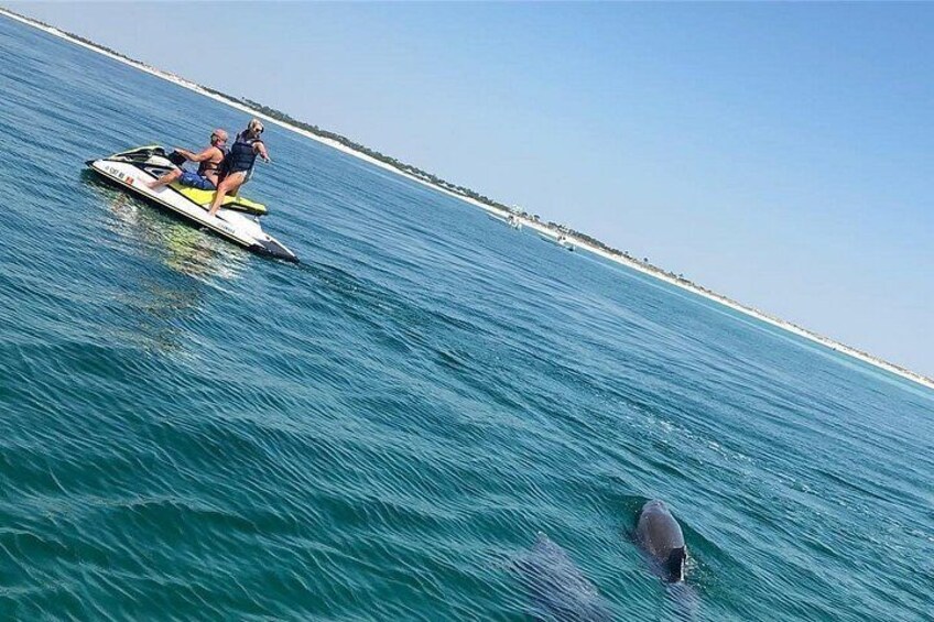 Waverunner Dolphin Tour 3