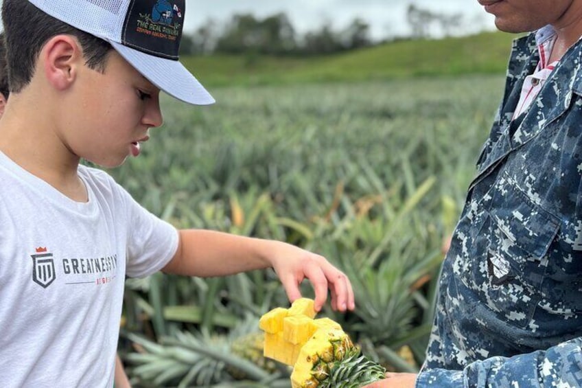 Eine Person in einem weißen T-Shirt und einer Kappe reicht einer Person in Uniform eine gelbe Blume. 1