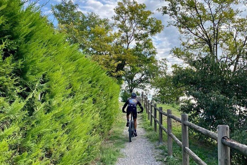 E-Bike tour and Wine tasting from Desenzano Inland 1