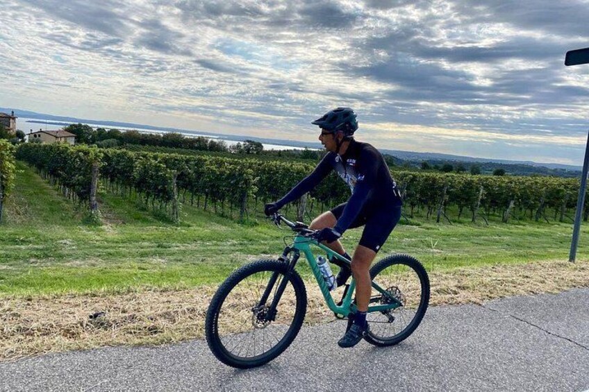E-Bike tour and Wine tasting from Desenzano Inland 5