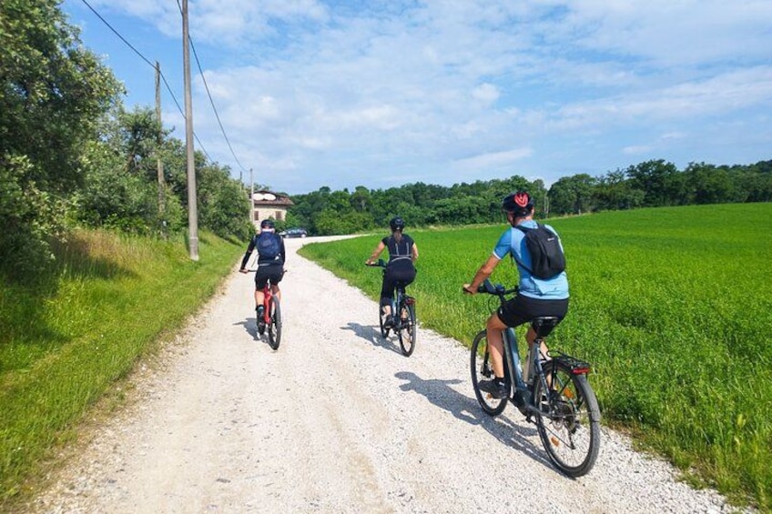 E-Bike tour and Wine tasting from Desenzano Inland 1
