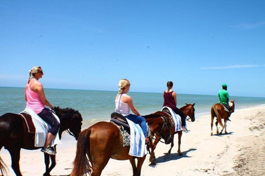 Horseback Riding 3
