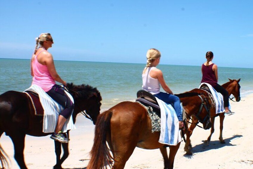 Horseback Riding Jamaica 4