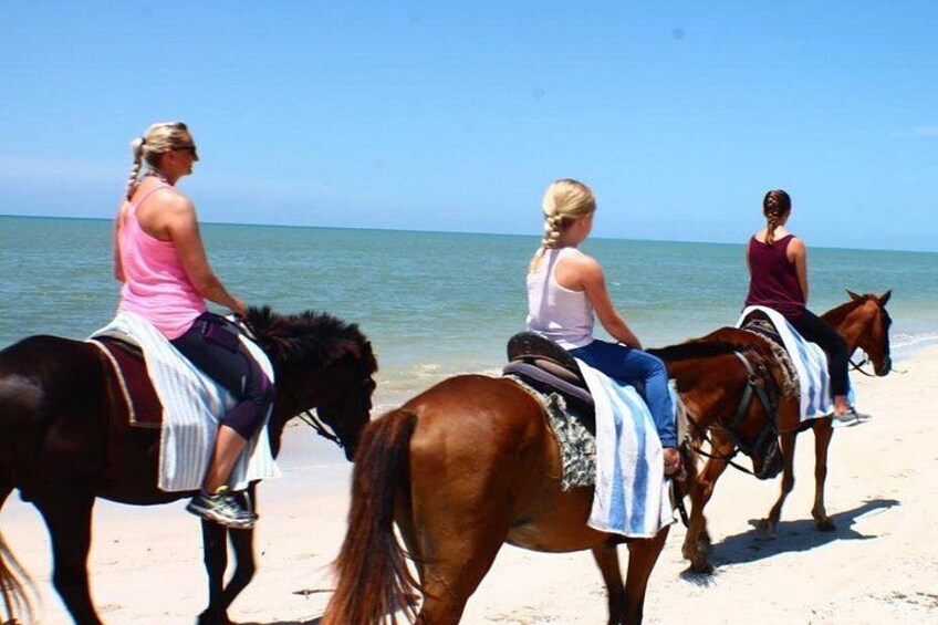 Horseback Riding Jamaica 4