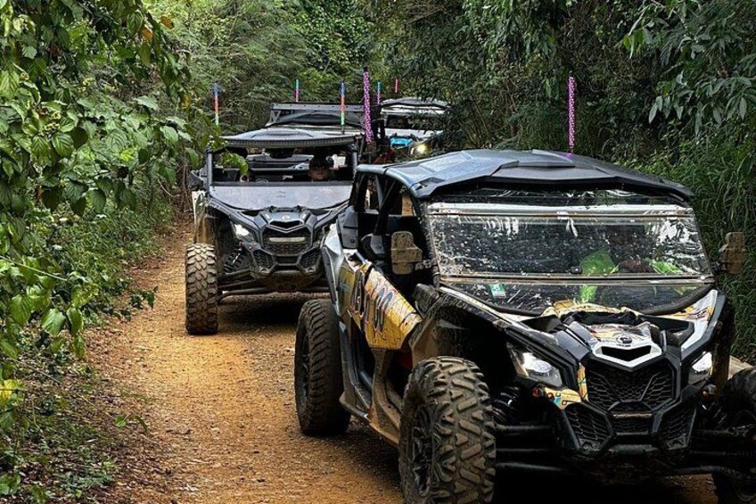 Key N Go: Guided UTV/ATV Adventure in St. Thomas, USVI (1.5-2 HR) 2