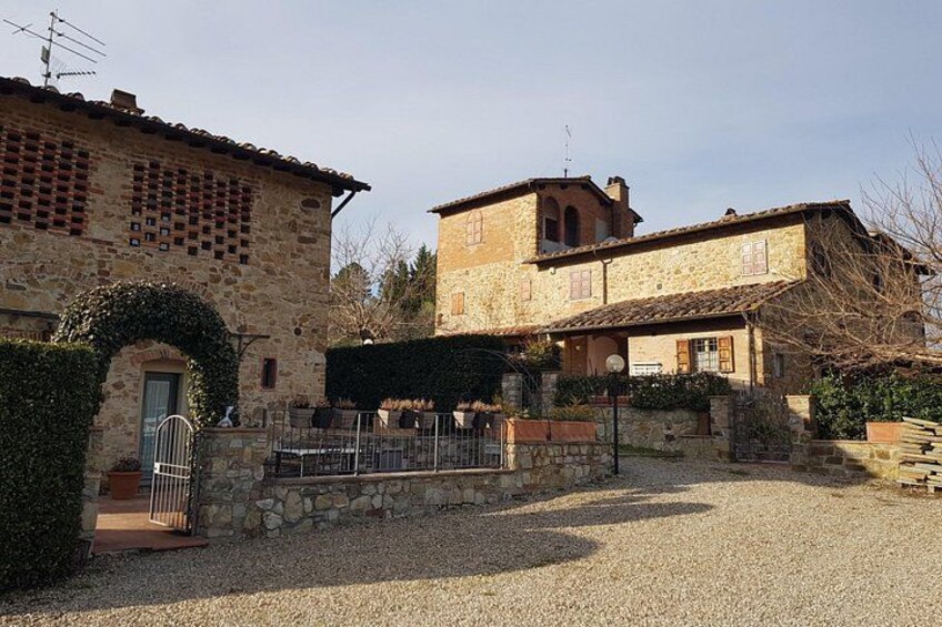Homemade Pasta Class and Lunch in the Heart of Chianti 4