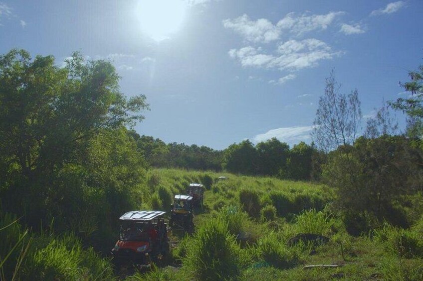 Riding through cane fields 4