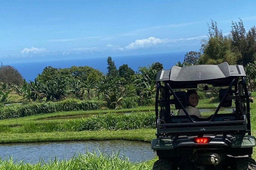 Riders can net and catch tilapia, explore. 1