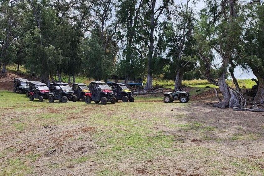 12 UTV 2 and 4 seaters 5