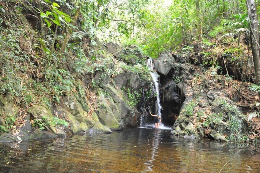 A waterfall in a forested area with a person standing near the water. 1