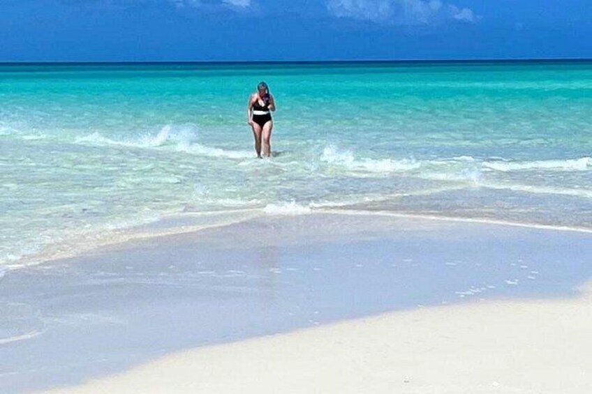 In search of Sand Dollars! 4