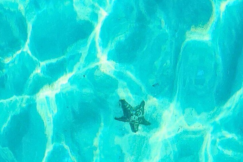 A swimming pool with clear blue water and a central island. 3