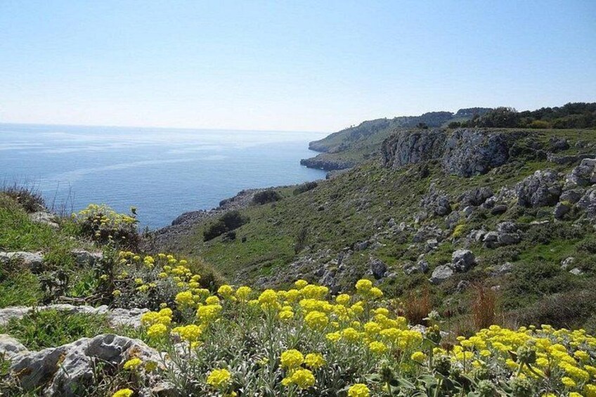 Otranto Coast 5