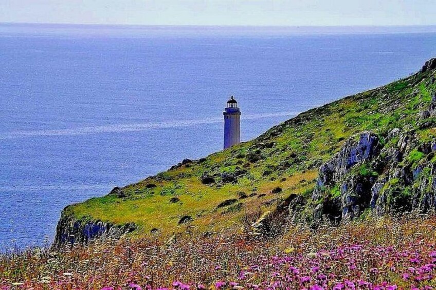 Eine Küstenlandschaft mit einem Leuchtturm, einem grasbewachsenen Hügel und Blumen. 5