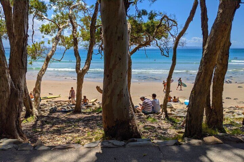 Noosa National Park