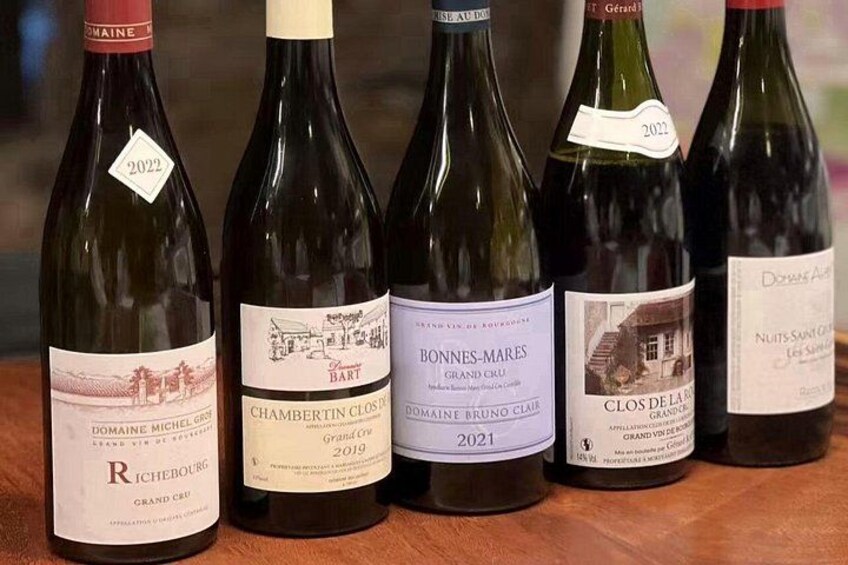 Private tasting 5 Grands Pinot Noir 2