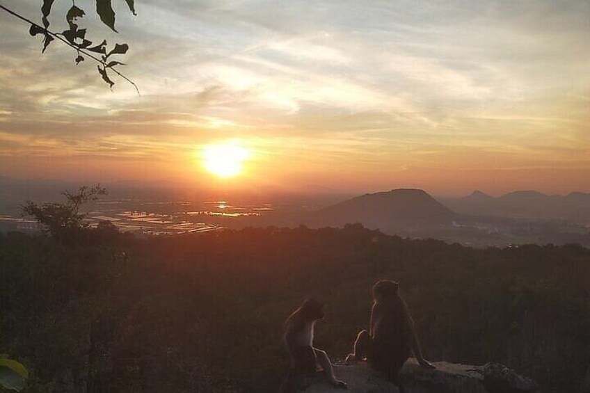 Half/Full Day Tuk Tuk : Bambootrain, Killing & Bat Caves,Sunset 3
