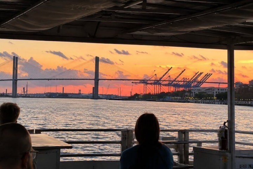 Sunset Dolphin Eco Tour 4