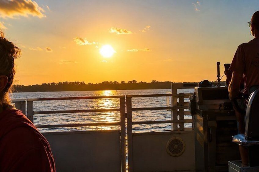 Sunset Dolphin Eco Tour 5