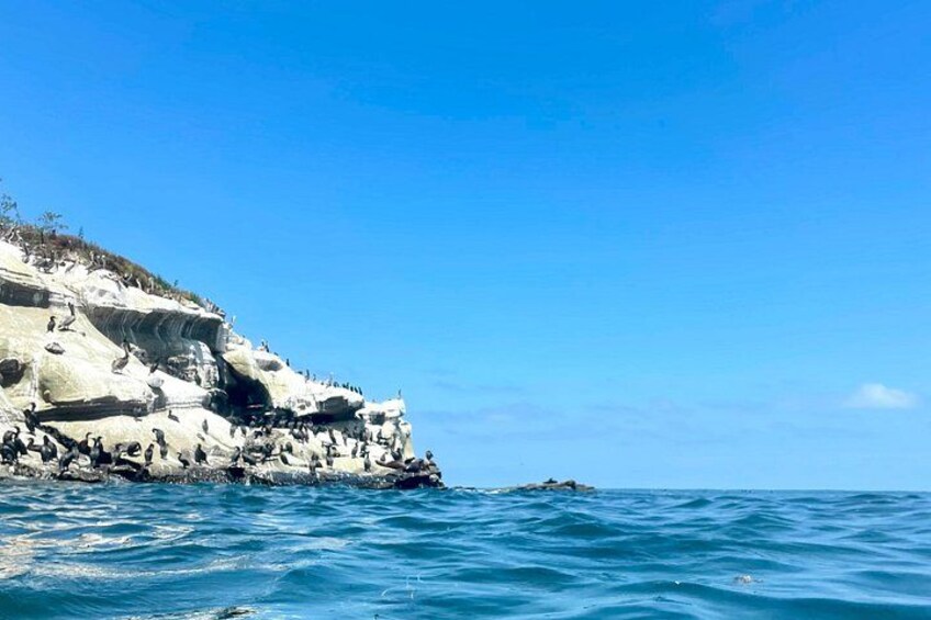 A rocky coastline with clear blue waters. 3