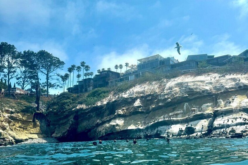 A coastal landscape with rocky cliffs, clear blue water, and a bird flying overhead. 4