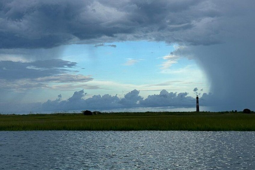 Private Charleston Dolphin and Eco Boat Tour 4