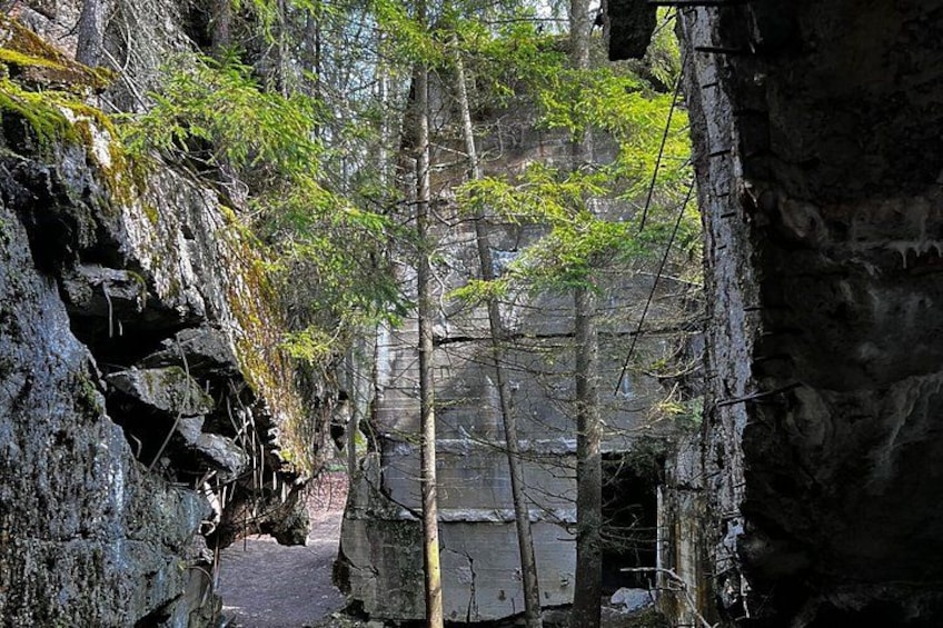 A forested area with a stone structure, possibly a ruin, and a narrow path. 3