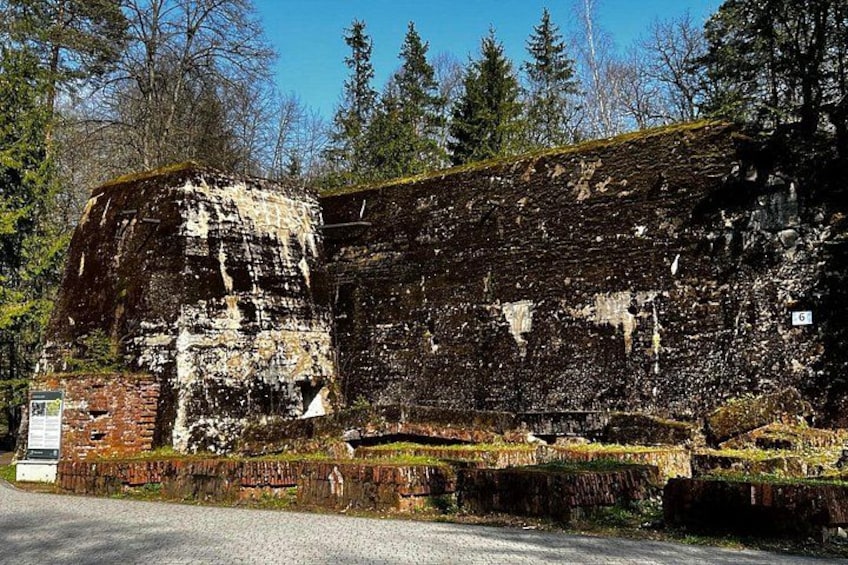 A dilapidated brick building with moss growth, surrounded by trees and a clear sky. 1