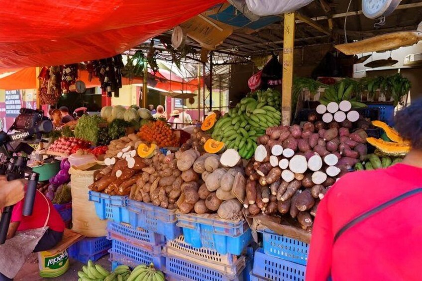 Small Group: Half Day Punta Cana Cultural Tour 1