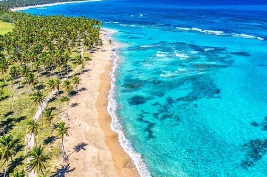 A beach with clear turquoise waters, a sandy shore, and a line of palm trees. 2