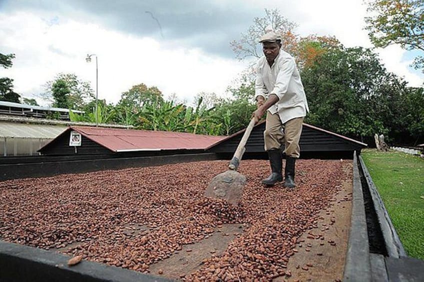 A person shoveling beans into a container. 2