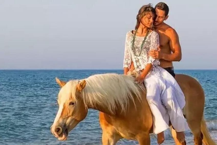 A person riding a horse on a beach with the ocean in the background. 3