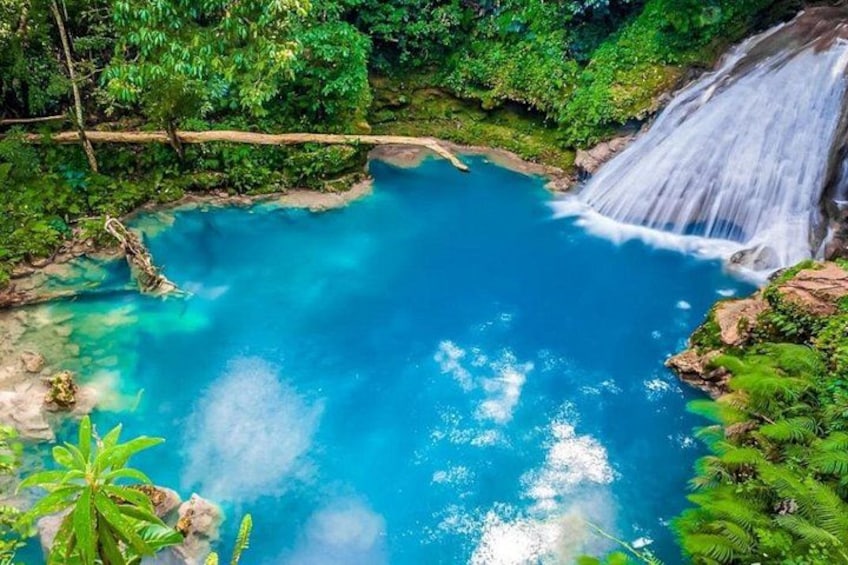 A waterfall, a clear blue pool, and lush greenery. 1