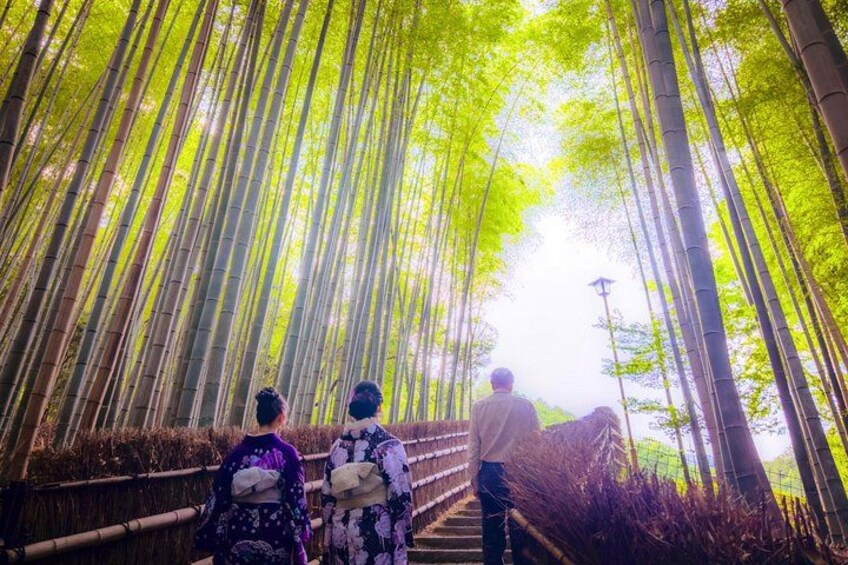 A bamboo forest with a pathway. 3