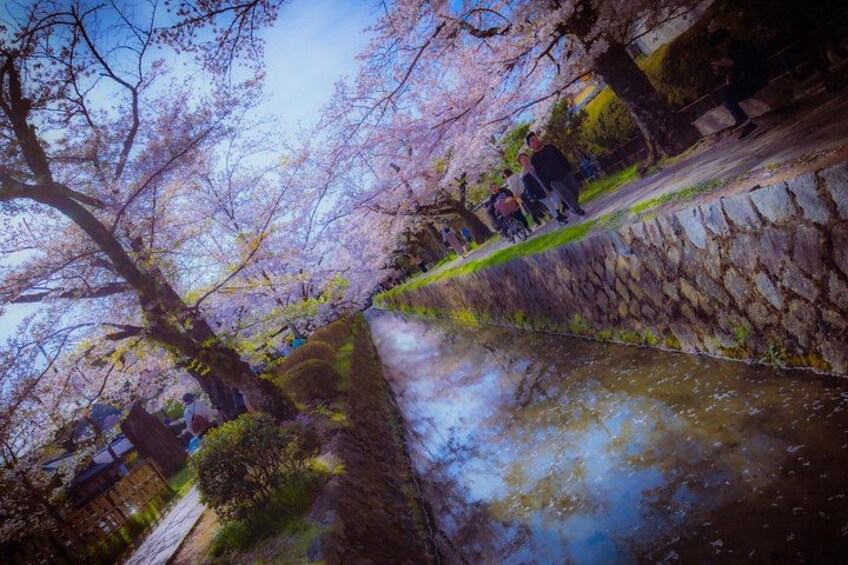 Kyoto Highlights & Hidden Gems in Nature (Private Van Eng-Guide) 2