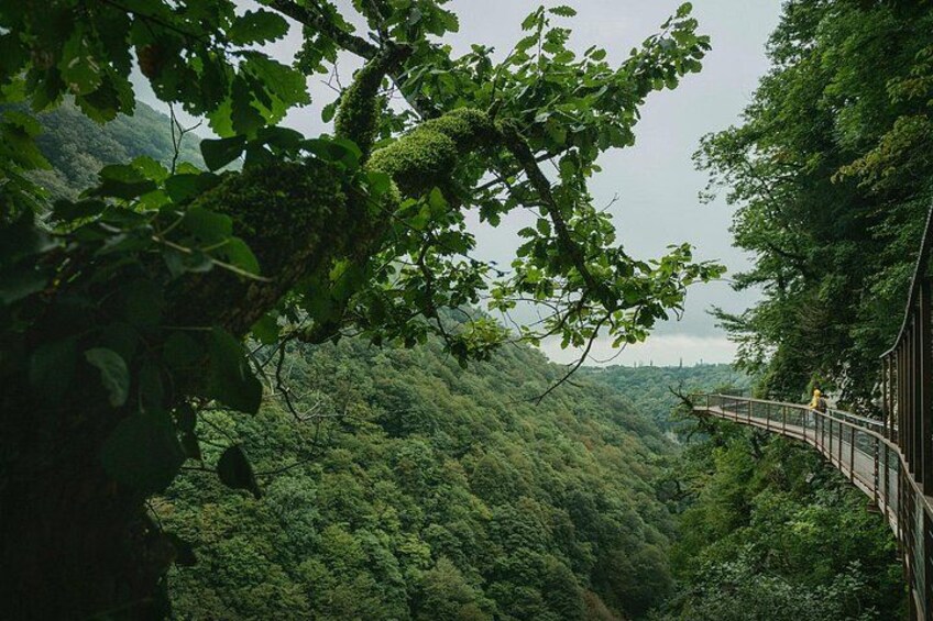 Explore Canyons from Batumi 1