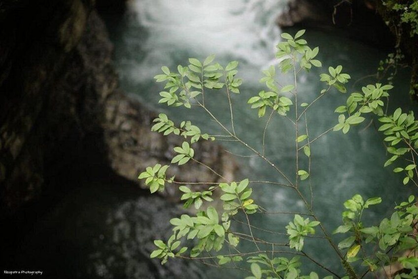 Explore Canyons from Batumi 2
