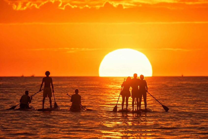 Picture 4 for Activity Barcelona: Sunrise Paddleboarding with Instructor and Photos 4
