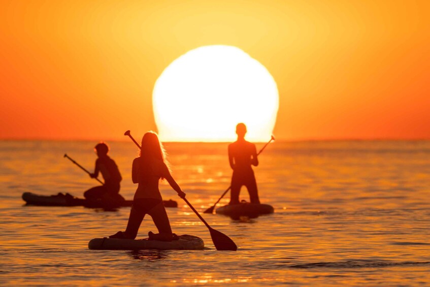 Picture 20 for Activity Barcelona: Sunrise Paddleboarding with Instructor and Photos 3